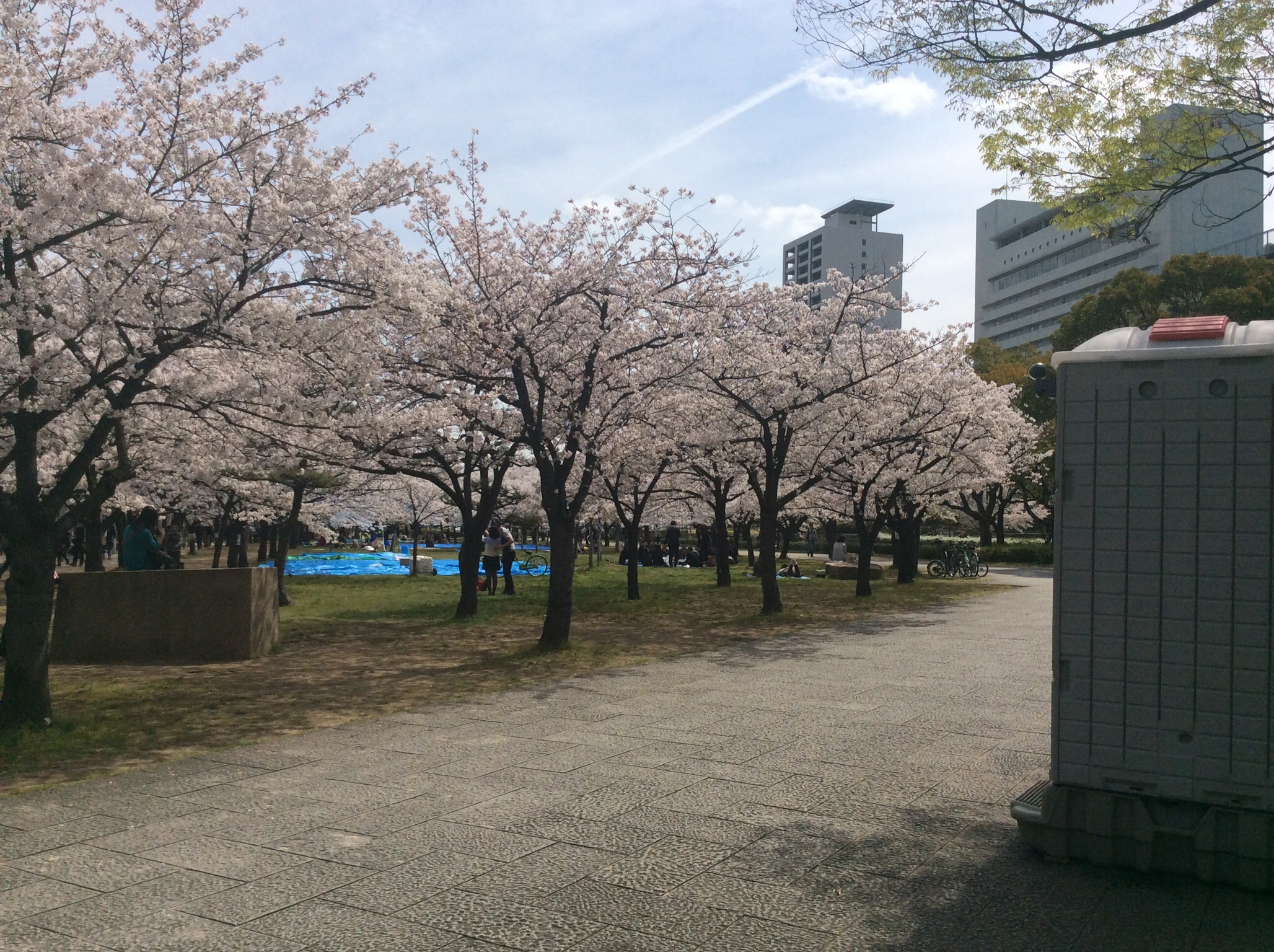 西の丸庭園 大阪城